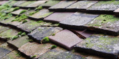 Cotton End roof repair costs